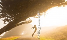 开云在线赛事平台-帕尔默闪耀新星光芒，洪都拉斯对阵韩国见证未来巨星价值