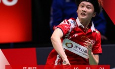 开云体育登录-韩国队逆转波兰队，梁靖崑高光表现的简单介绍