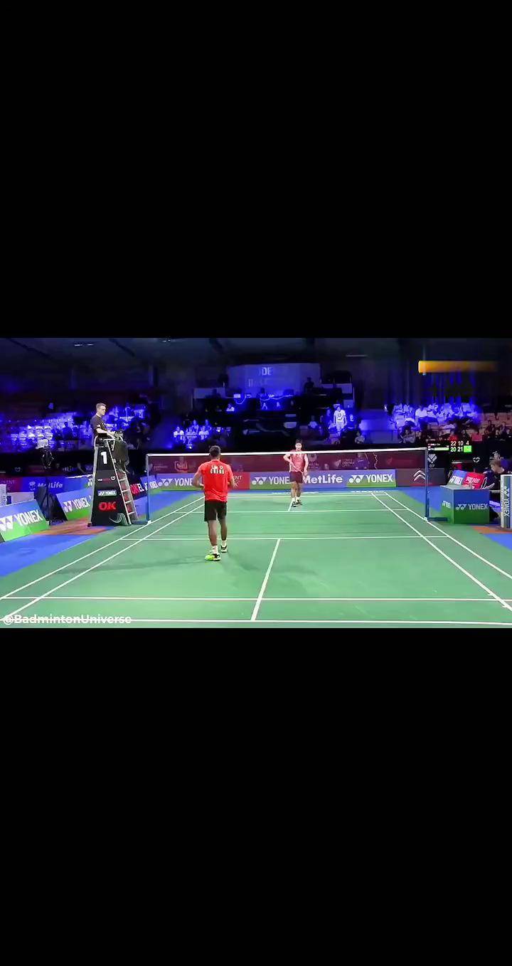 法国羽毛球队血洗丹麦羽毛球队，林丹高光表现的简单介绍