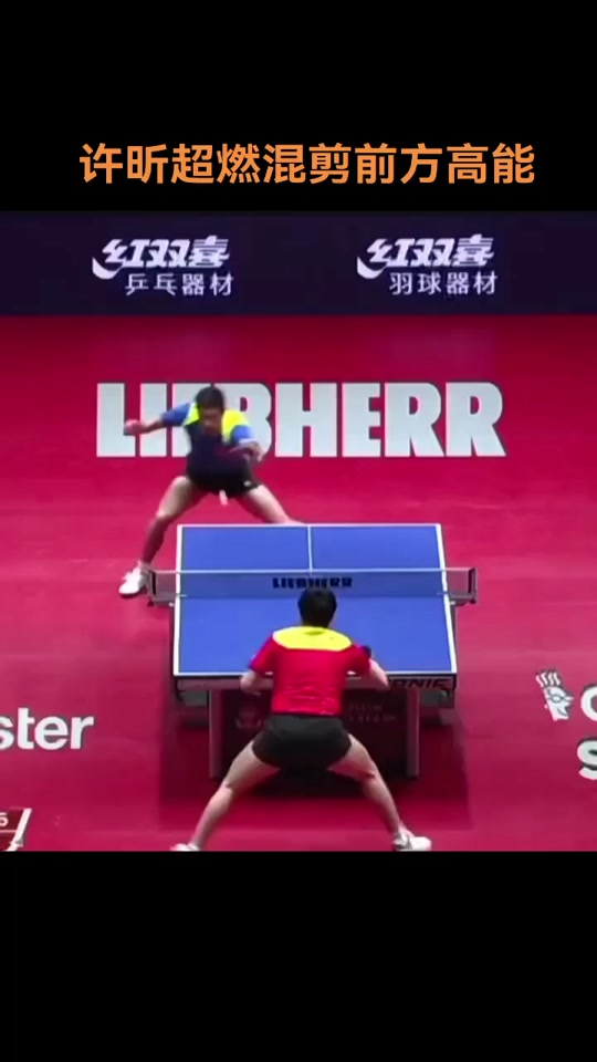 德国乒乓球队完胜波兰乒乓球队，许昕高光表现的简单介绍