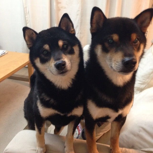 密尔沃基的魔法时刻,字母哥无人可挡的终场审判