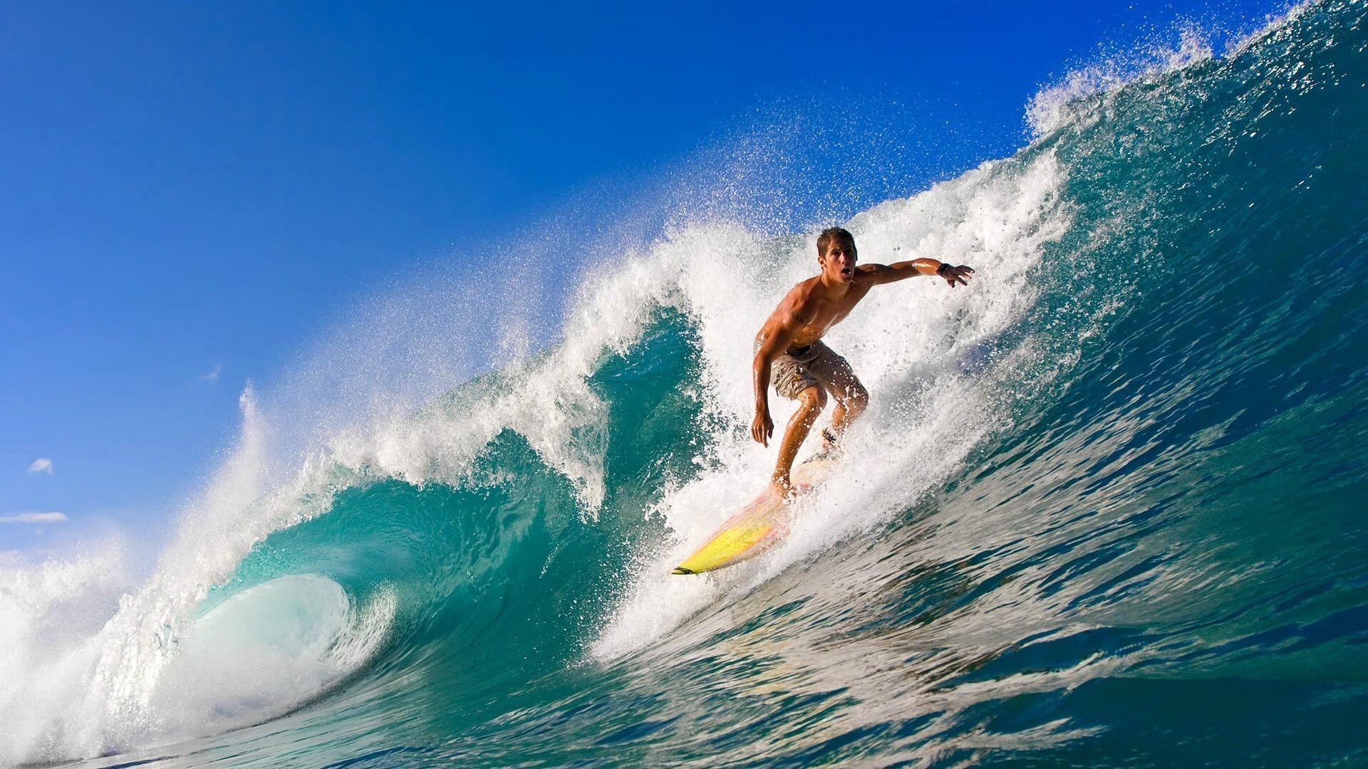 年度焦点之战之夜,阿劳霍攻防两端的绝对统治